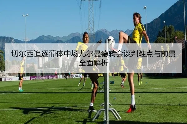 切尔西追逐葡体中场尤尔曼德转会谈判难点与前景全面解析
